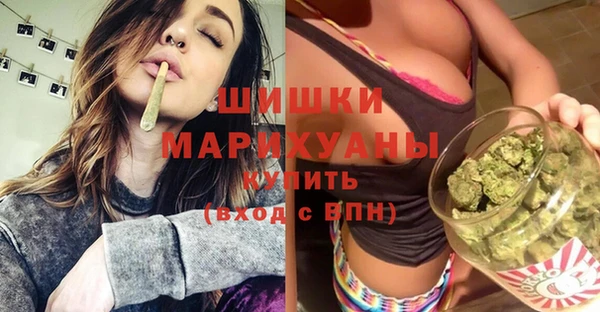 гидра Гусь-Хрустальный