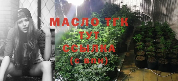 гидра Гусь-Хрустальный