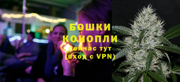 гидра Гусь-Хрустальный