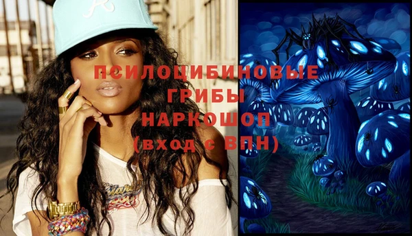 гидра Гусь-Хрустальный