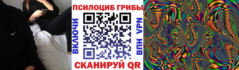 Галлюциногенные грибы Cubensis  Купить где  Клин 