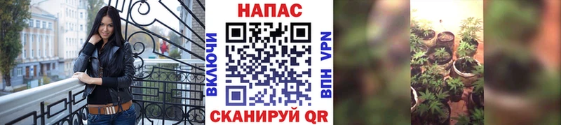 Купить закладки  Клин  Бошки марихуана LSD WEED 